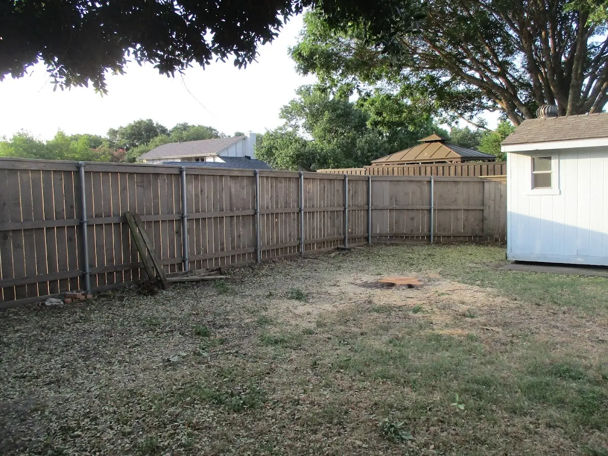 Cleared yard after professional tree removal in Winburne